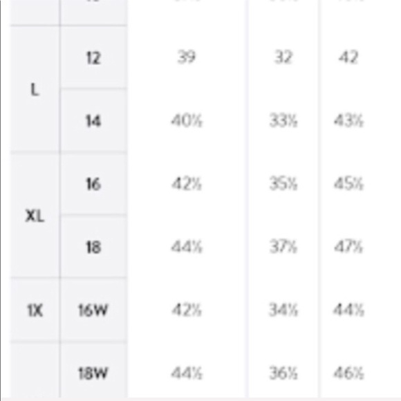 NWT-PLUS 2 pc bra & thong set - Picture 5 of 8